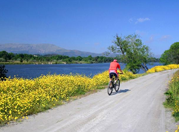 Riding through Minho's riverside blooms